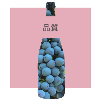 sezione vini del consorzio valpolicella