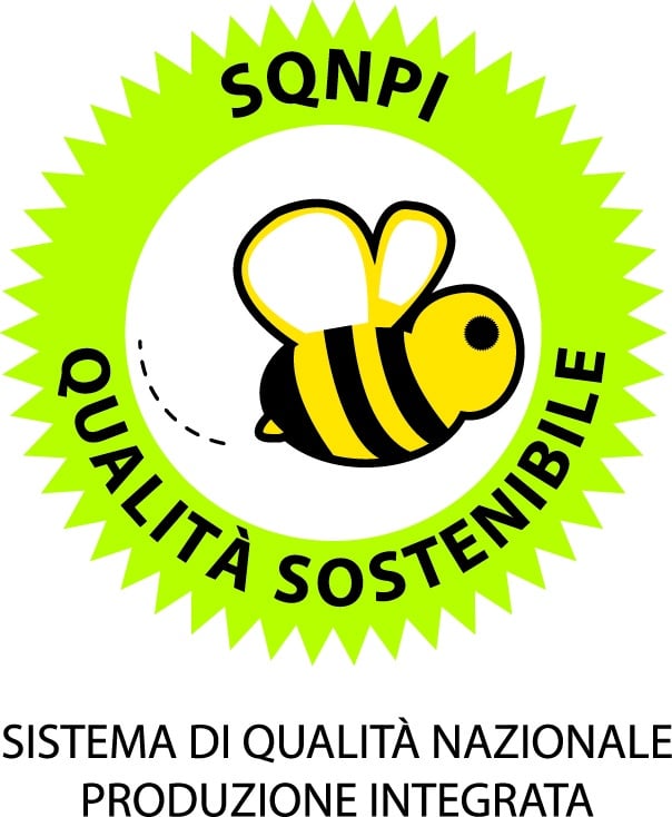 Logo_SQNPI_def